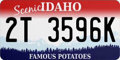 ID license plate 2T3596K