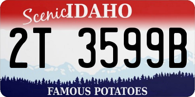 ID license plate 2T3599B