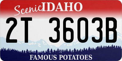 ID license plate 2T3603B