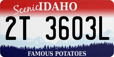 ID license plate 2T3603L