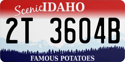 ID license plate 2T3604B