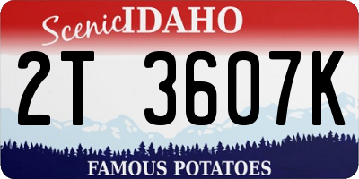 ID license plate 2T3607K