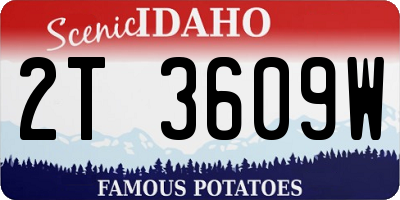 ID license plate 2T3609W
