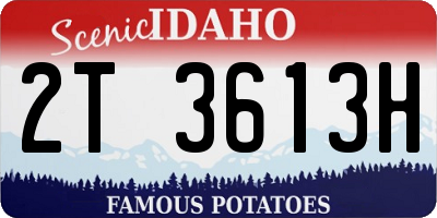 ID license plate 2T3613H