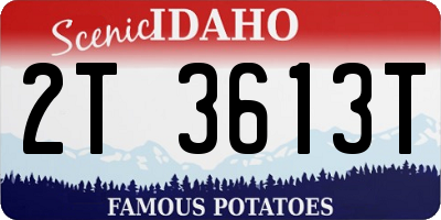 ID license plate 2T3613T
