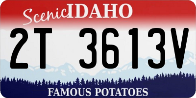 ID license plate 2T3613V