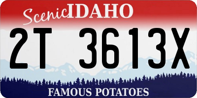 ID license plate 2T3613X