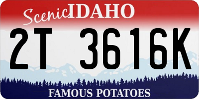 ID license plate 2T3616K