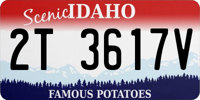ID license plate 2T3617V
