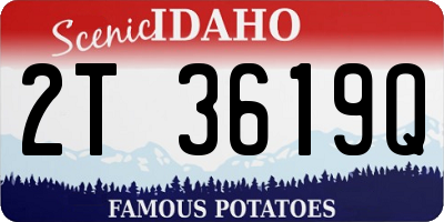 ID license plate 2T3619Q