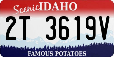 ID license plate 2T3619V