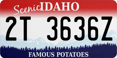 ID license plate 2T3636Z
