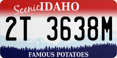 ID license plate 2T3638M