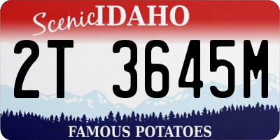 ID license plate 2T3645M