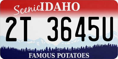 ID license plate 2T3645U