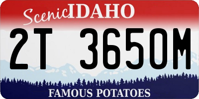 ID license plate 2T3650M