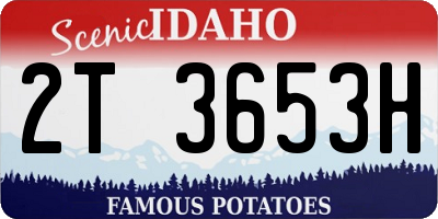 ID license plate 2T3653H