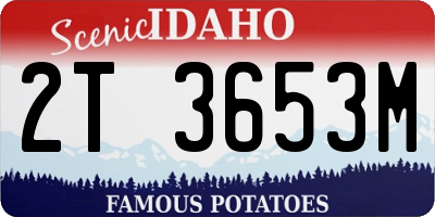 ID license plate 2T3653M