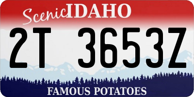 ID license plate 2T3653Z