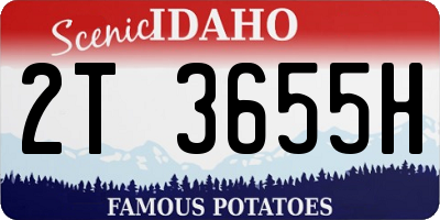 ID license plate 2T3655H