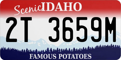 ID license plate 2T3659M