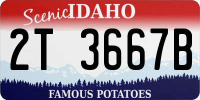 ID license plate 2T3667B