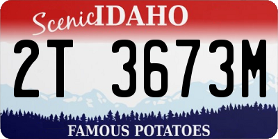 ID license plate 2T3673M