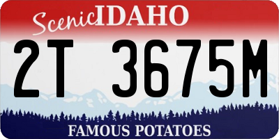 ID license plate 2T3675M