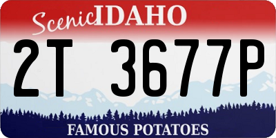 ID license plate 2T3677P
