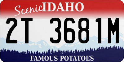 ID license plate 2T3681M