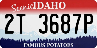 ID license plate 2T3687P