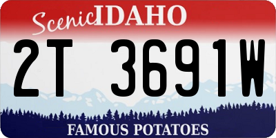 ID license plate 2T3691W