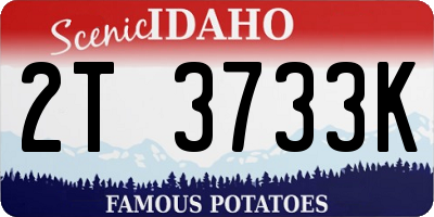 ID license plate 2T3733K