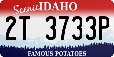 ID license plate 2T3733P