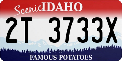 ID license plate 2T3733X
