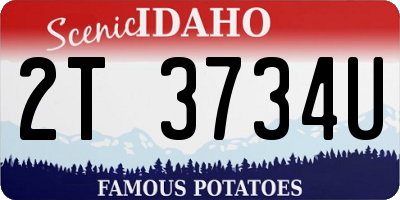 ID license plate 2T3734U