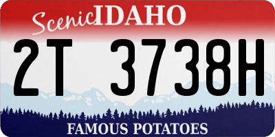 ID license plate 2T3738H