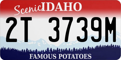 ID license plate 2T3739M