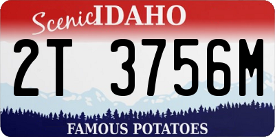 ID license plate 2T3756M