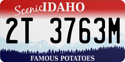 ID license plate 2T3763M