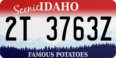 ID license plate 2T3763Z