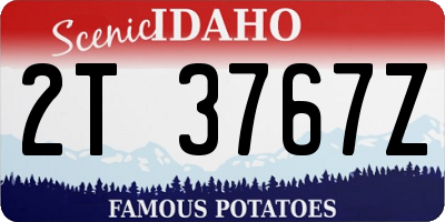 ID license plate 2T3767Z