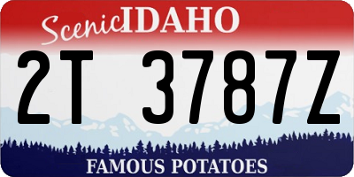 ID license plate 2T3787Z