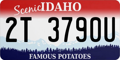 ID license plate 2T3790U