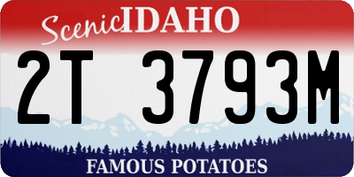 ID license plate 2T3793M