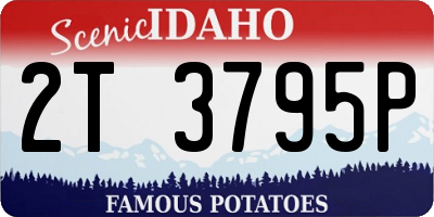 ID license plate 2T3795P