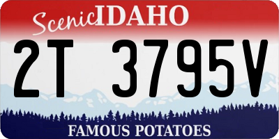 ID license plate 2T3795V