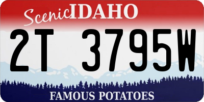 ID license plate 2T3795W