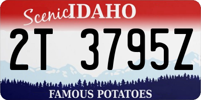 ID license plate 2T3795Z