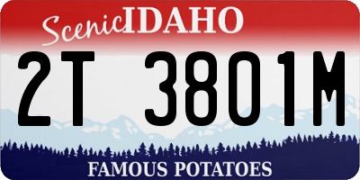 ID license plate 2T3801M